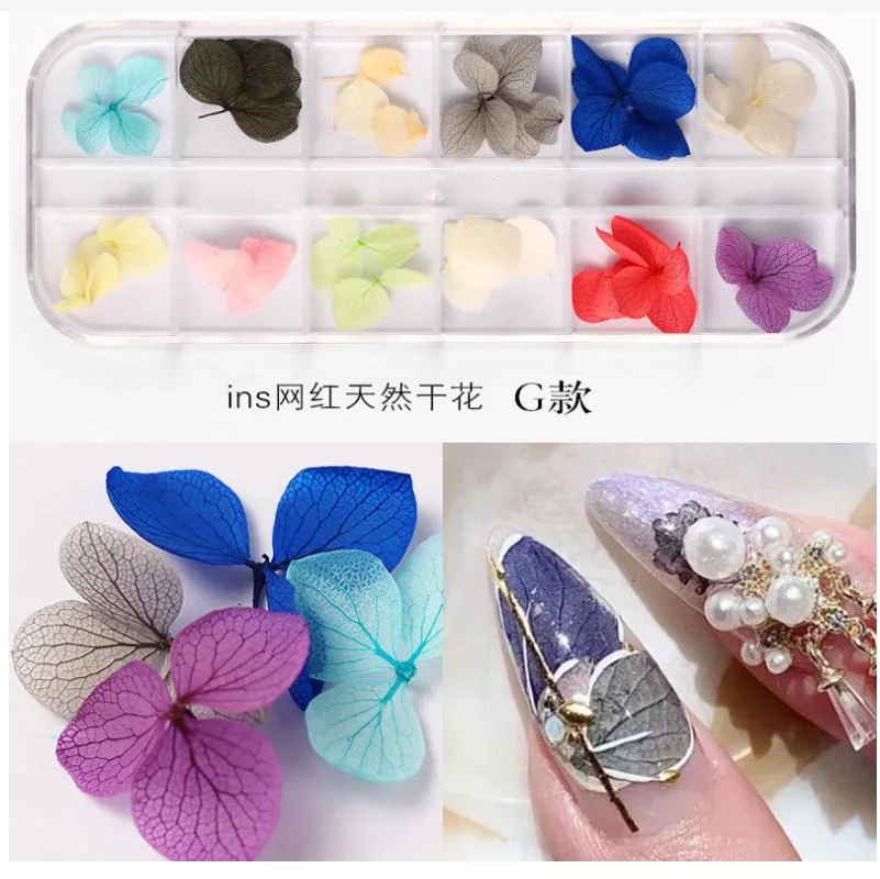 Nail Dried Flowers 12 Color Star Sun Flower Small Daisy Dry Flowers Decoration