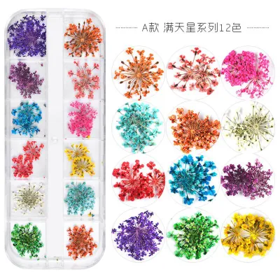 Nail Dried Flowers 12 Color Star Sun Flower Small Daisy Dry Flowers Decoration